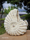 Coralys